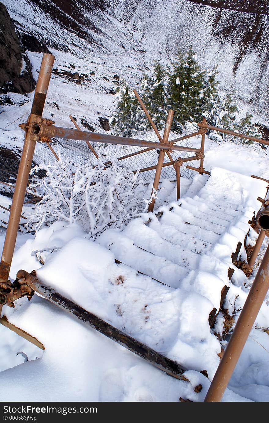 Ladder On The Snow