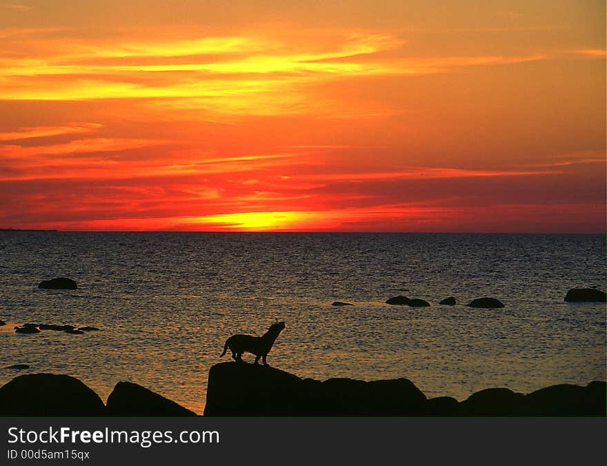 Sunset at the seaside