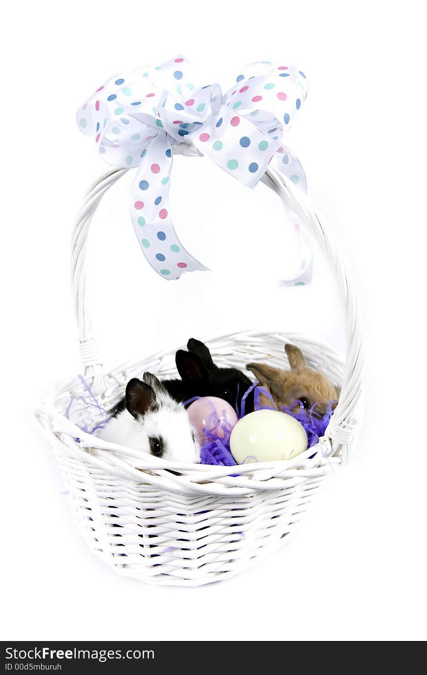 Adorable baby bunny rabbits in Easter basket. Adorable baby bunny rabbits in Easter basket