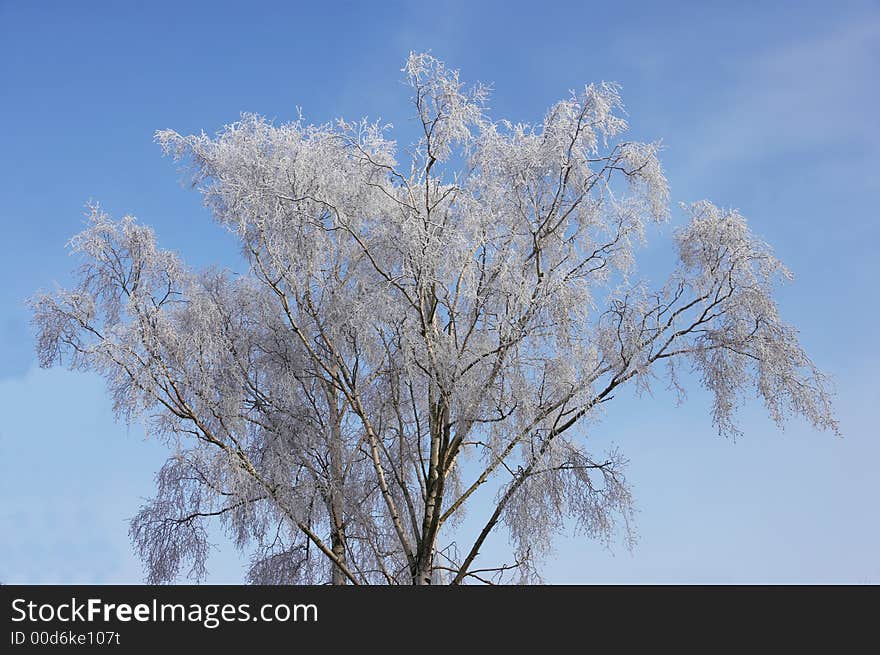 Winter landscape - useful as background. Winter landscape - useful as background