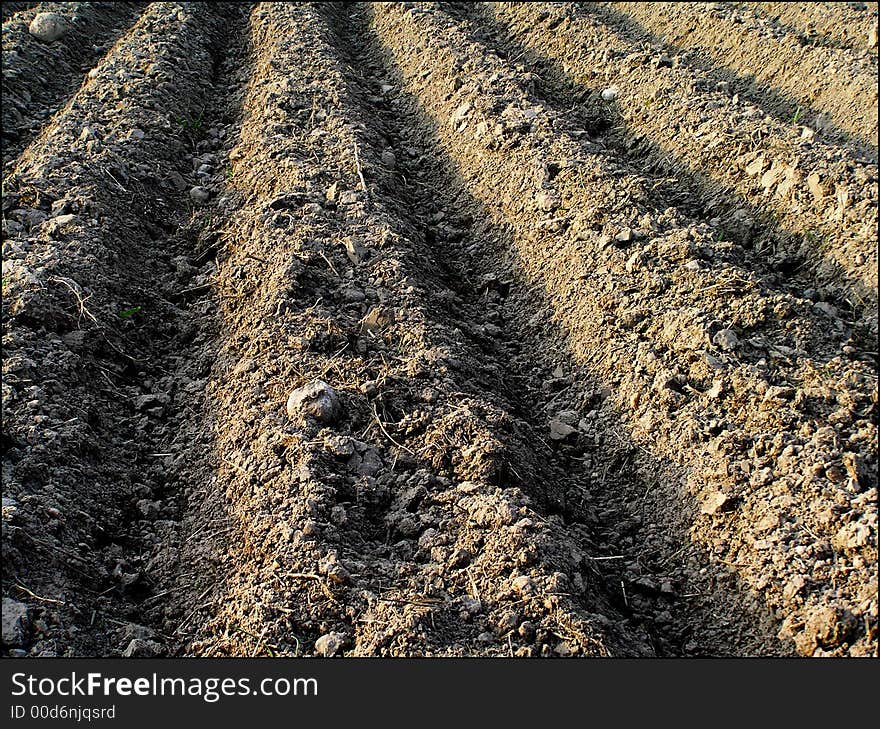 Field of earth as background