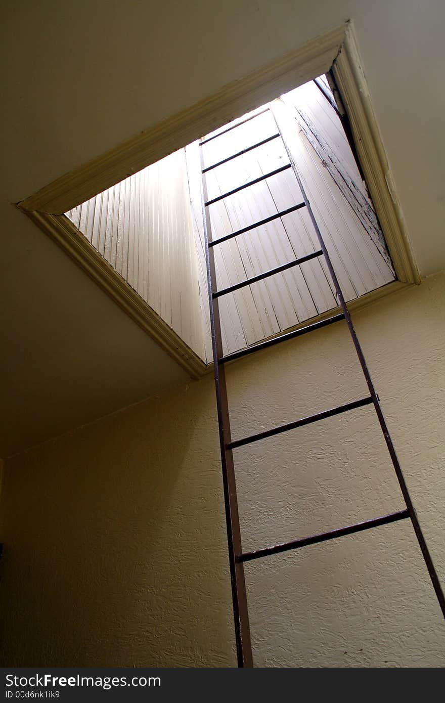 Ladder to roof