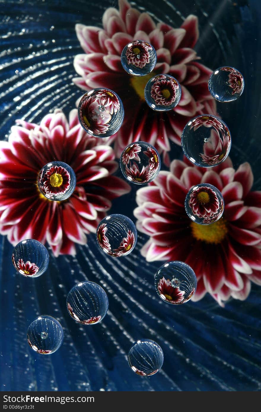 Flowers reflected in water drops on a wavy glass plate. Flowers reflected in water drops on a wavy glass plate