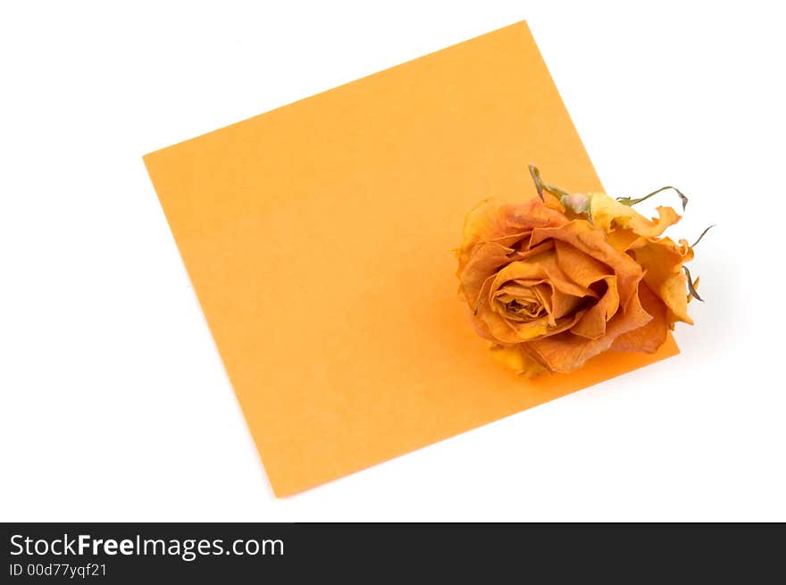 Empty orange note paper and rose bud isolated over white