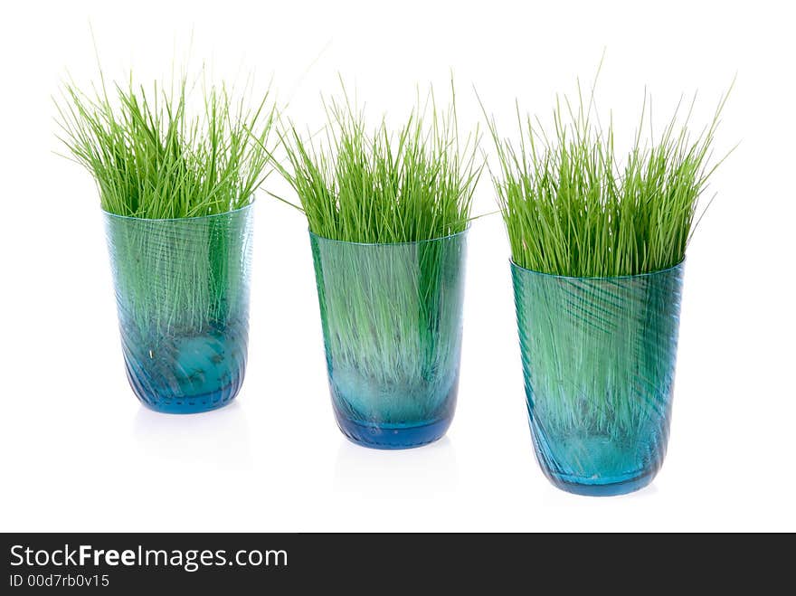 Grass in glass on white background