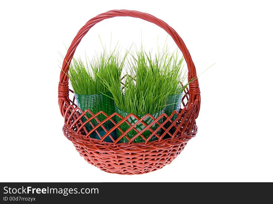 Grass in Basket