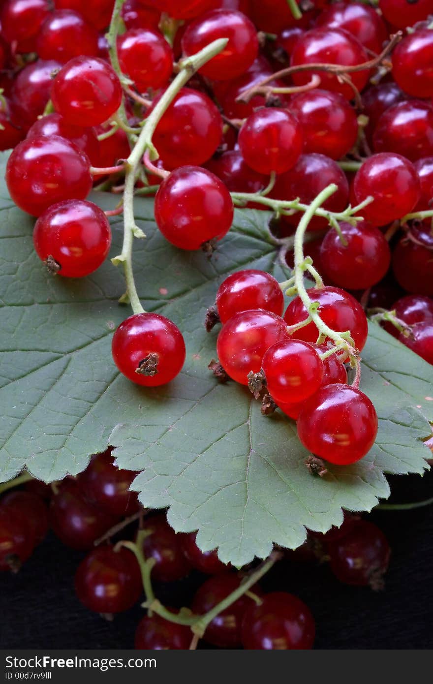 Crop of red currant on leaves