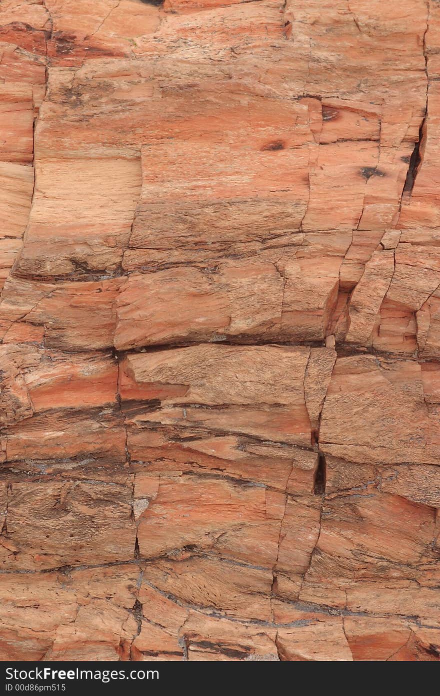 Petrified wood detail - Petrified Forest National Park