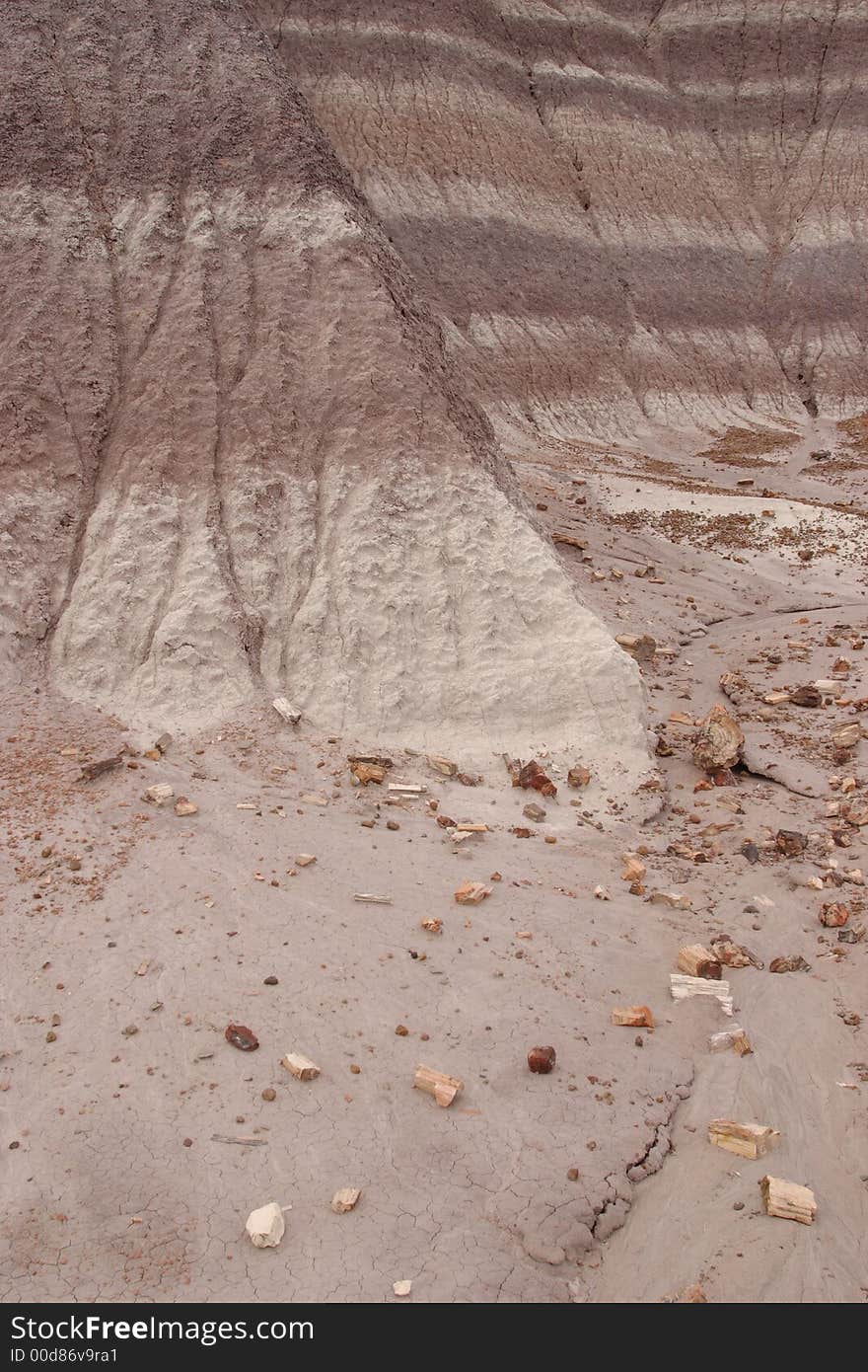 Blue Mesa of Petrified Forest National Park