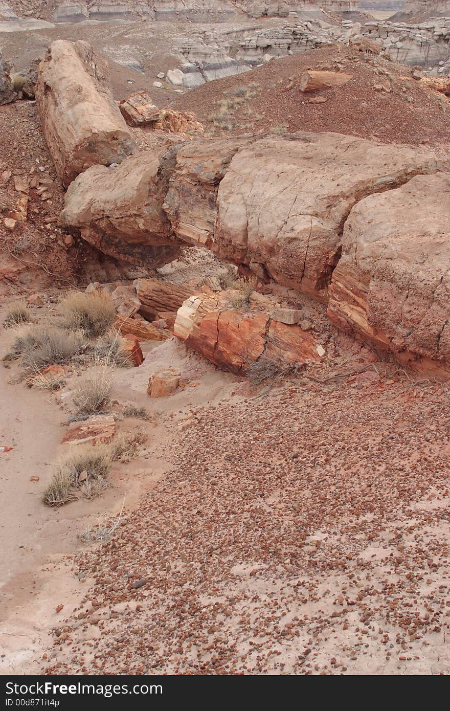 Keystone Bridge - Petrified Forest National Park