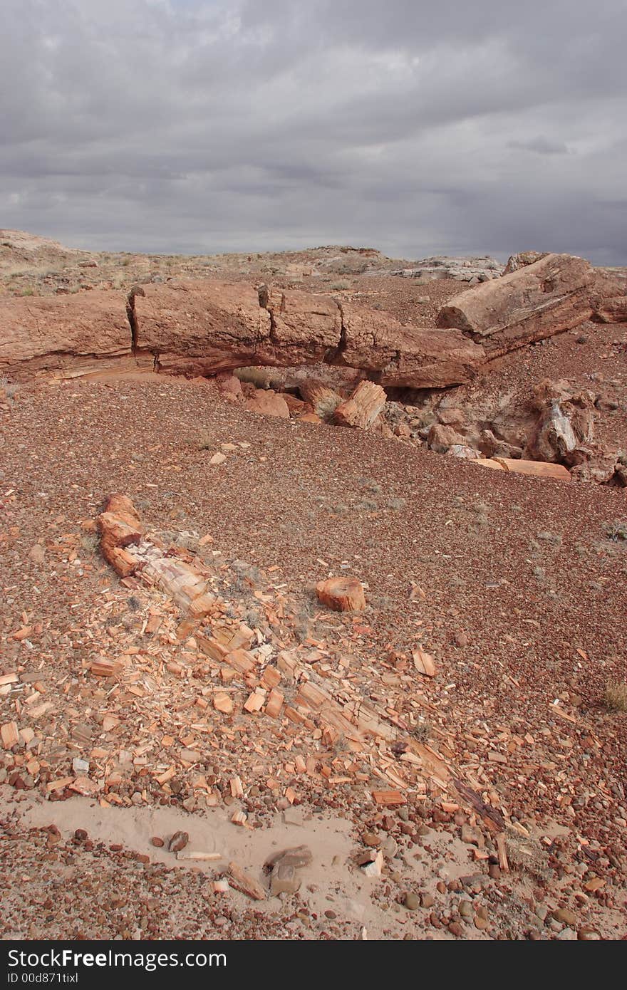 Keystone Bridge - Petrified Forest National Park