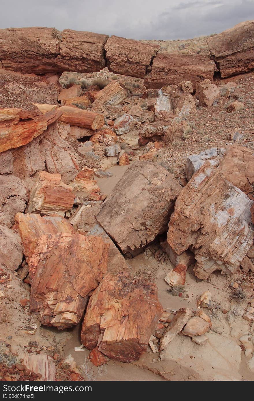 Keystone Bridge - Petrified Forest National Park