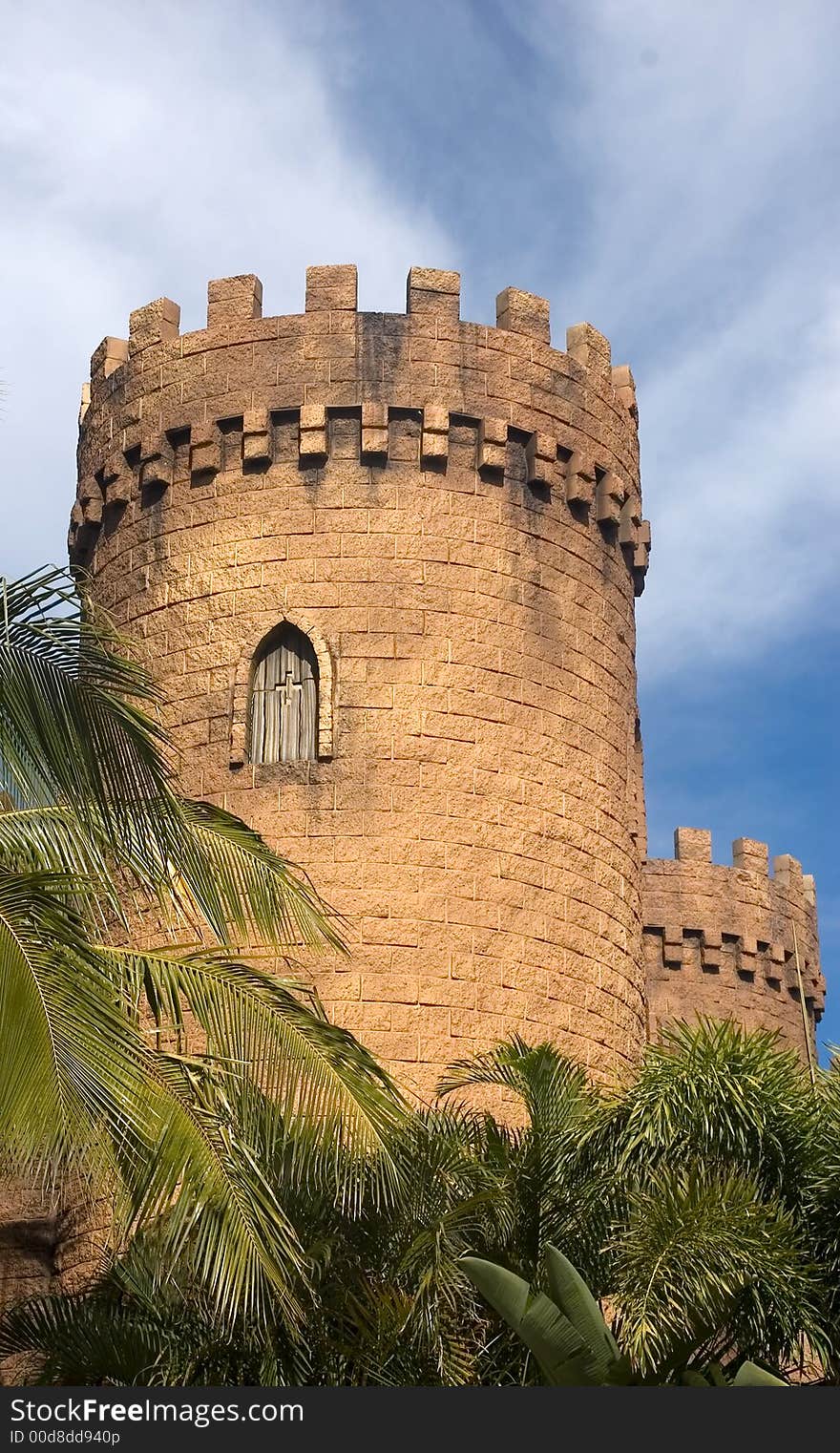 Castle turrets and palm trees