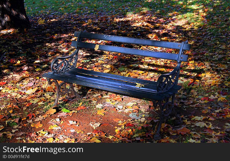 Park bench in fall light with leaves