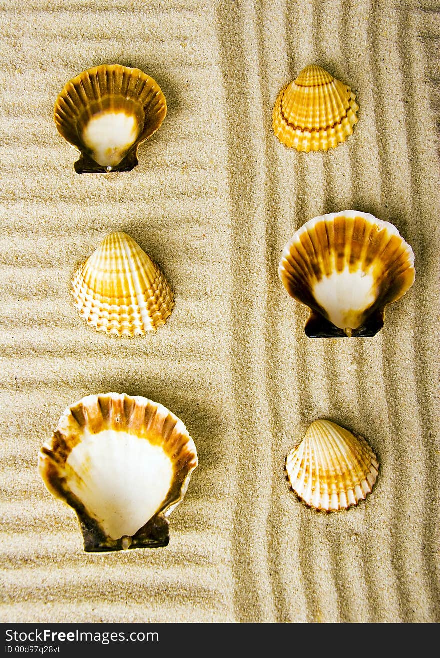 Shells