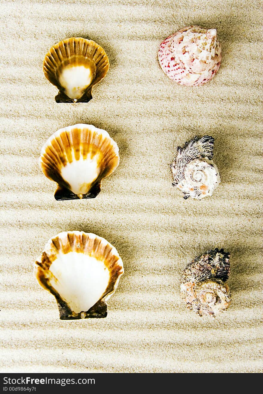 Shells