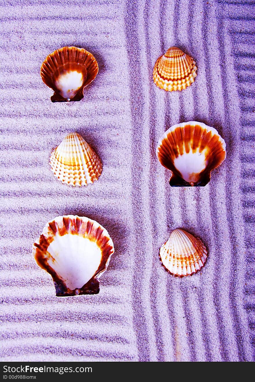 Shells