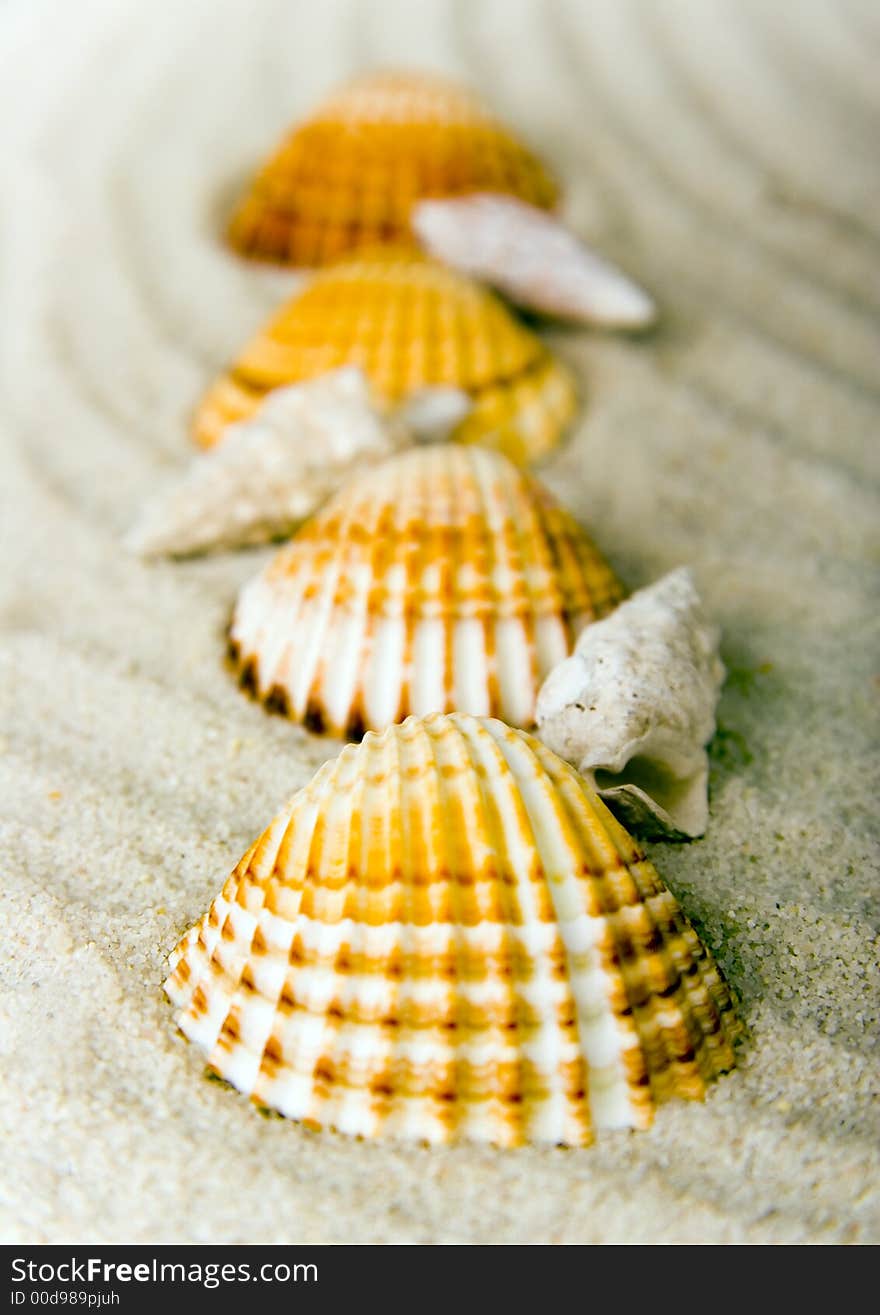 Shells