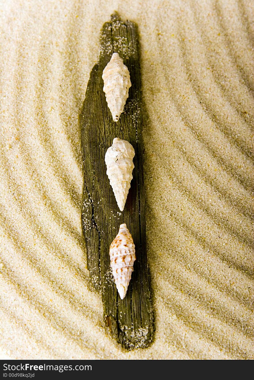 Shells