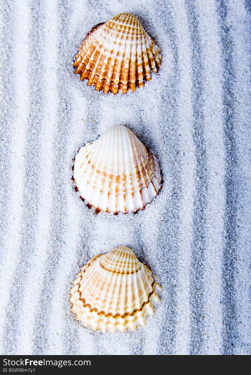 Shells