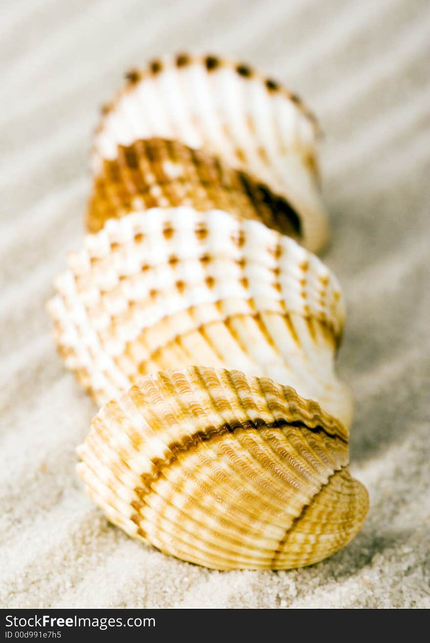 Shells