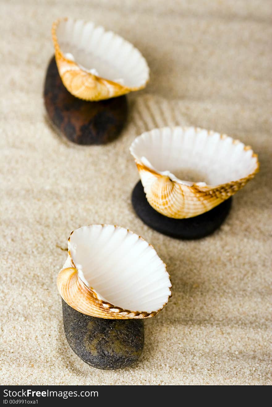 Shells