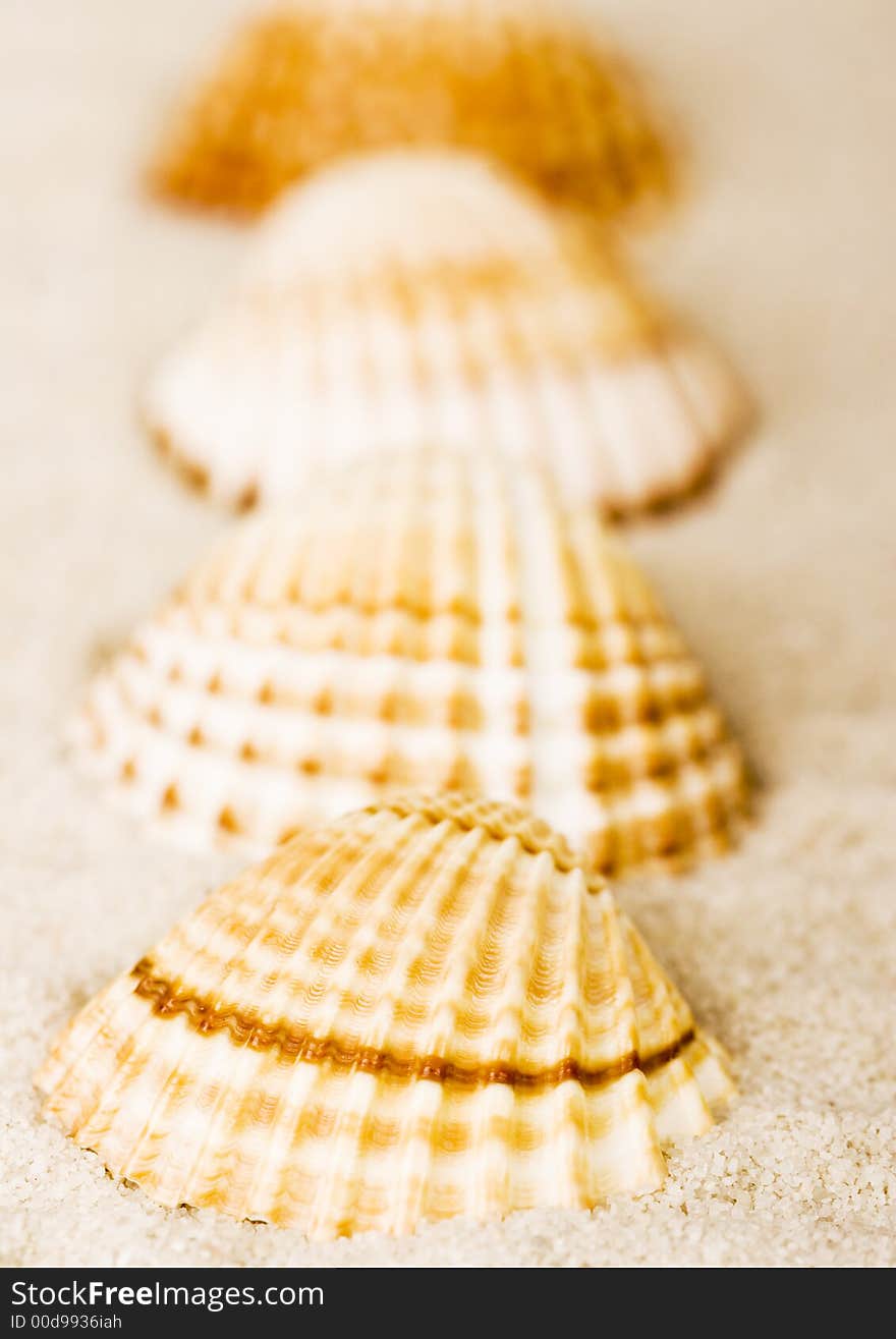 Shells