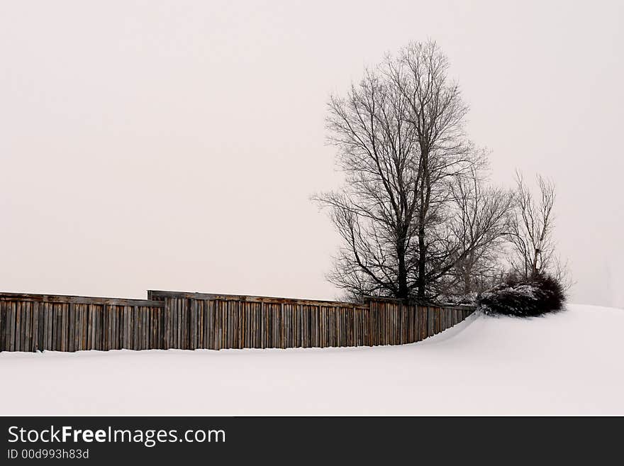 Tranquillity In Winter