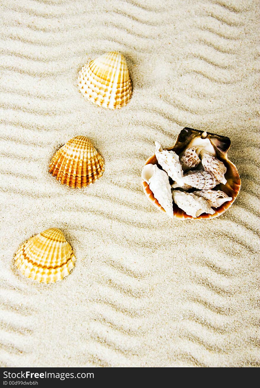 Shells