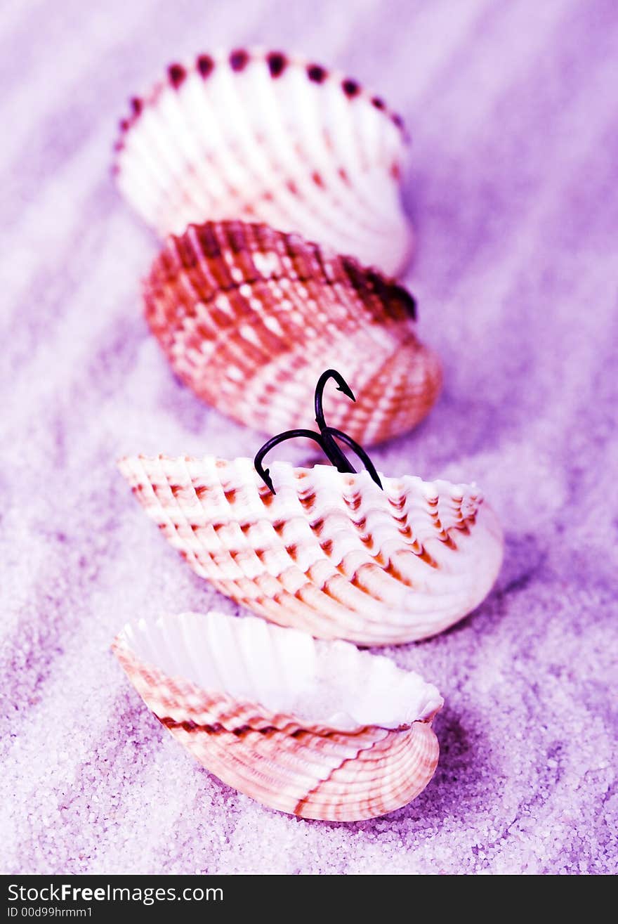 Shells