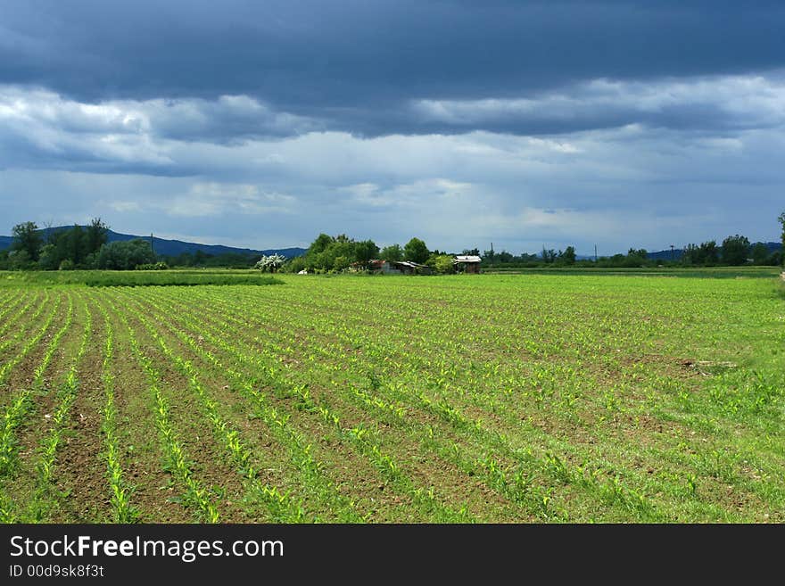 Landscape of a countryside at springtime