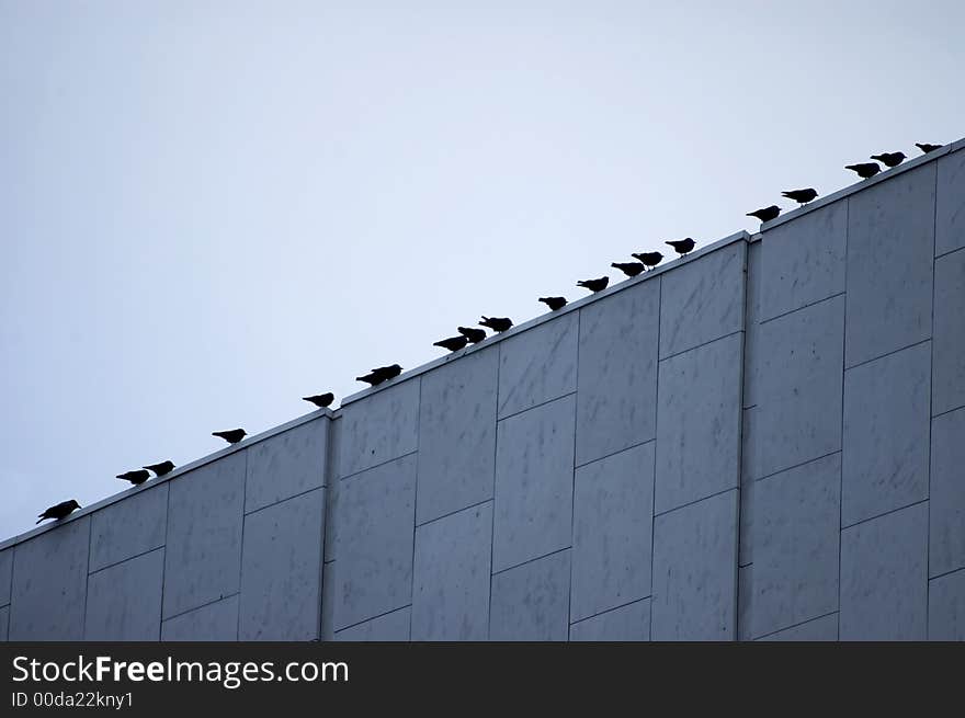 Bird on a roof