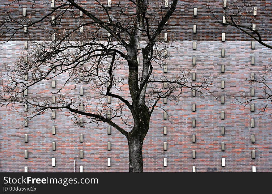 Tree And The Wall Background