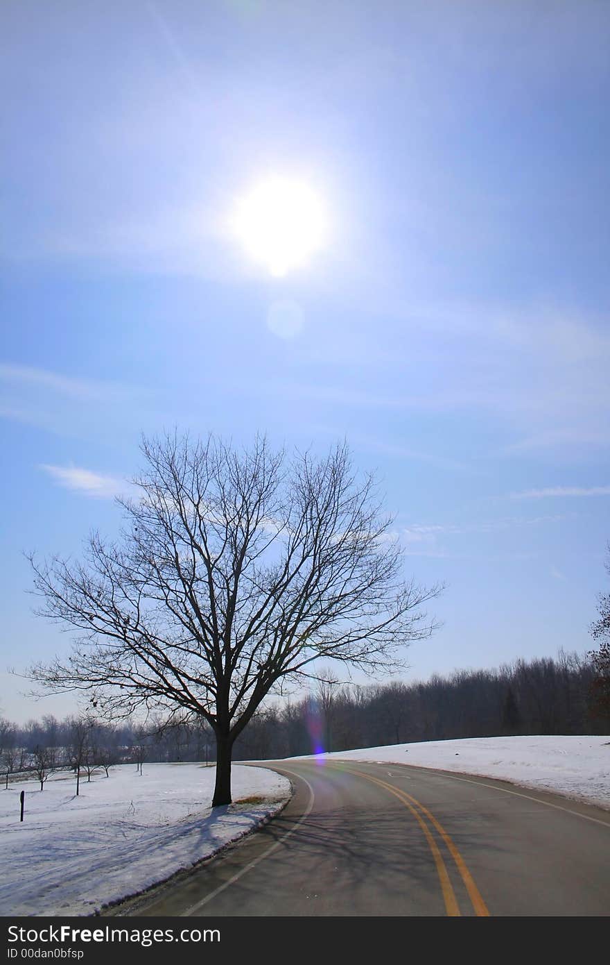 Single tree along road side with sun and blue sky