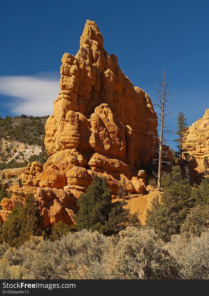 Sandstone Formations In Red Canyon