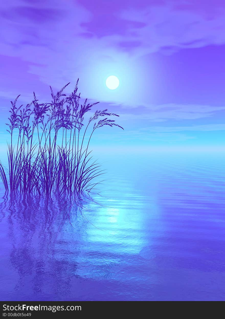 Water plants at sunset -  3D scene. Water plants at sunset -  3D scene.