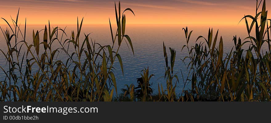 Water plants at sunset - 3D scene. Water plants at sunset - 3D scene.