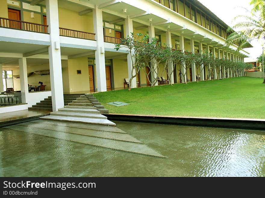 Green Grass and coconuts