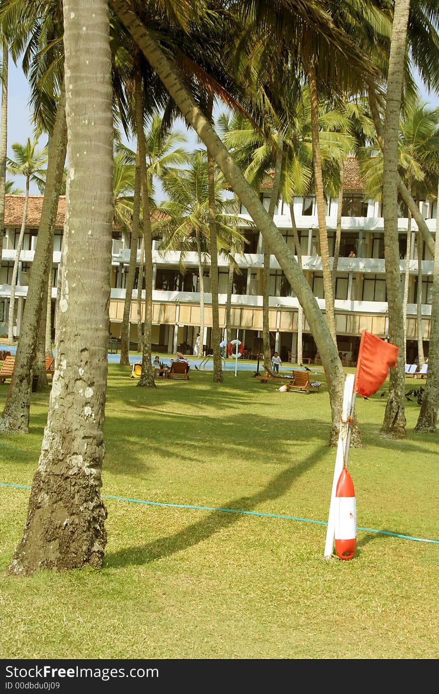 Green Grass and coconuts in a hotel