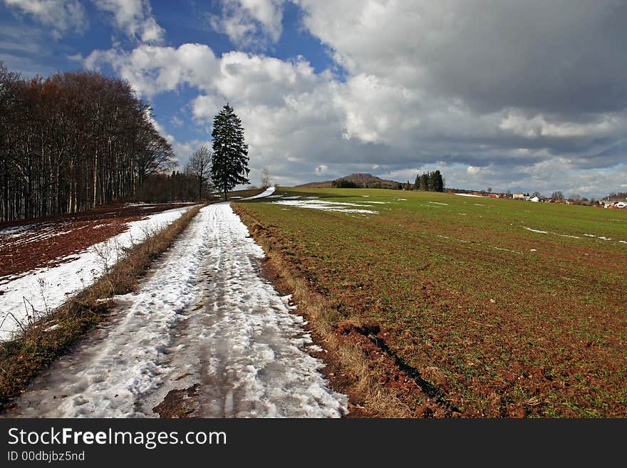 Green field - Landscape green grass, blue sky and white clouds. Green field - Landscape green grass, blue sky and white clouds