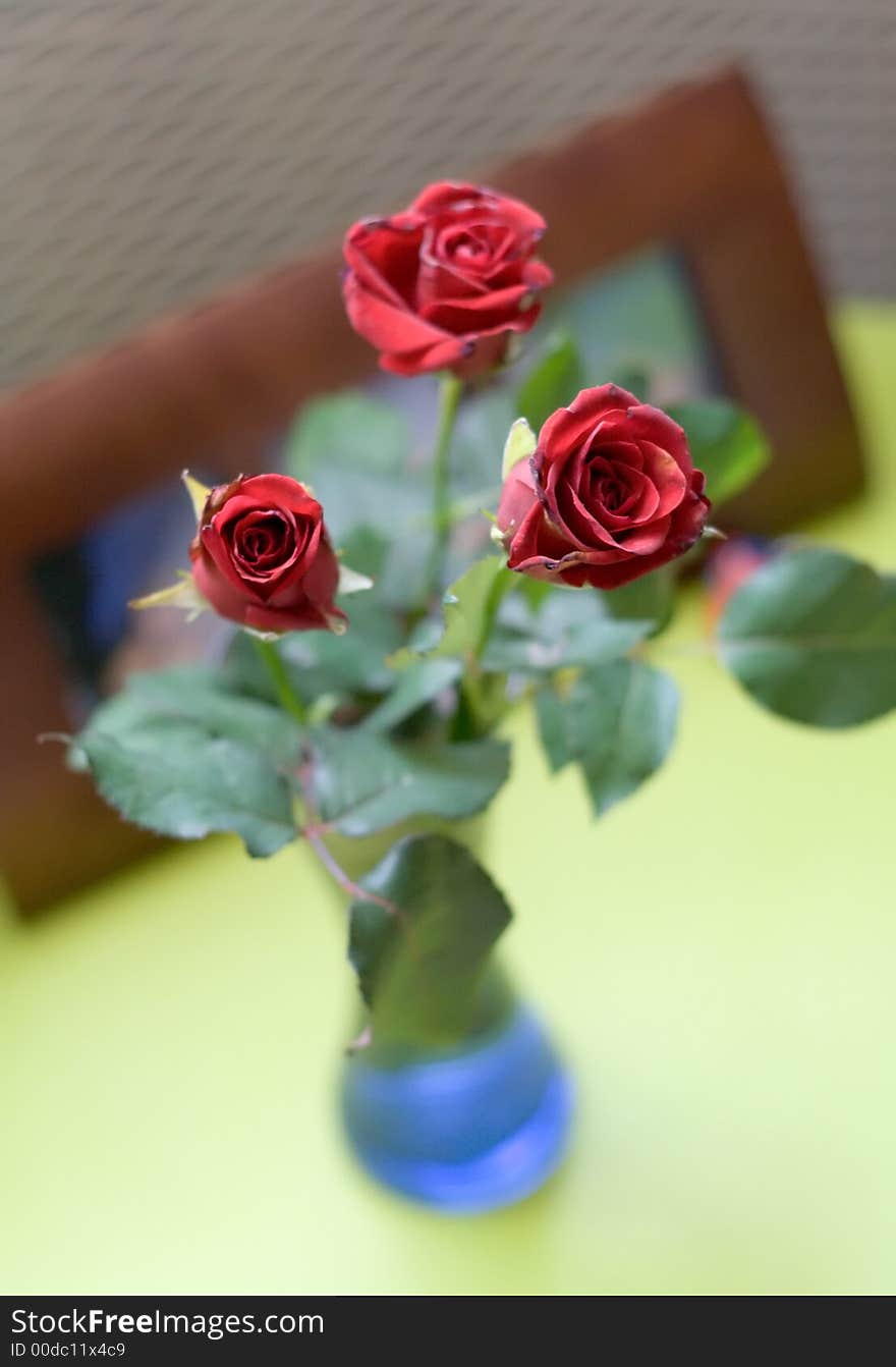 Bouquet of three dark red roses in small blue vase, close shot, photo frame on background. Bouquet of three dark red roses in small blue vase, close shot, photo frame on background