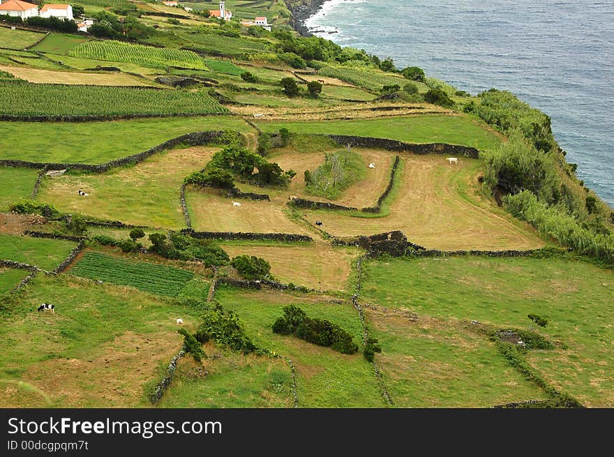 Azores Island landscape with a green lush view beside the ocean. Azores Island landscape with a green lush view beside the ocean