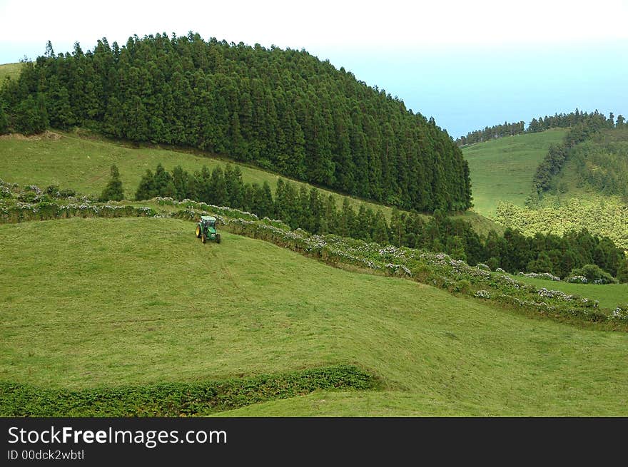 Azores Island landscape with a green lush view