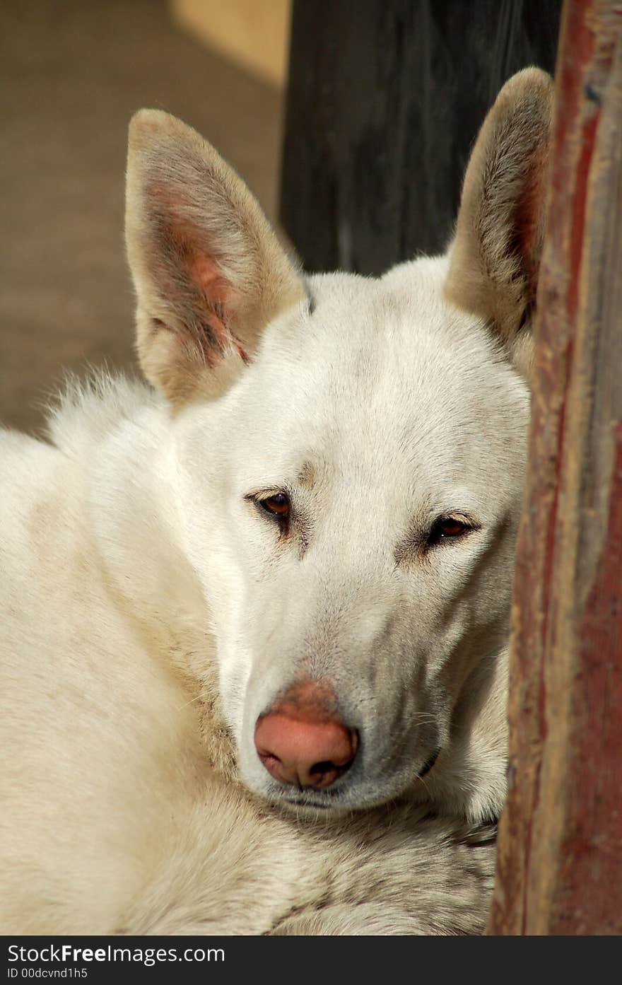 I am so handsome. I know it and so do you. I am so handsome. I know it and so do you.