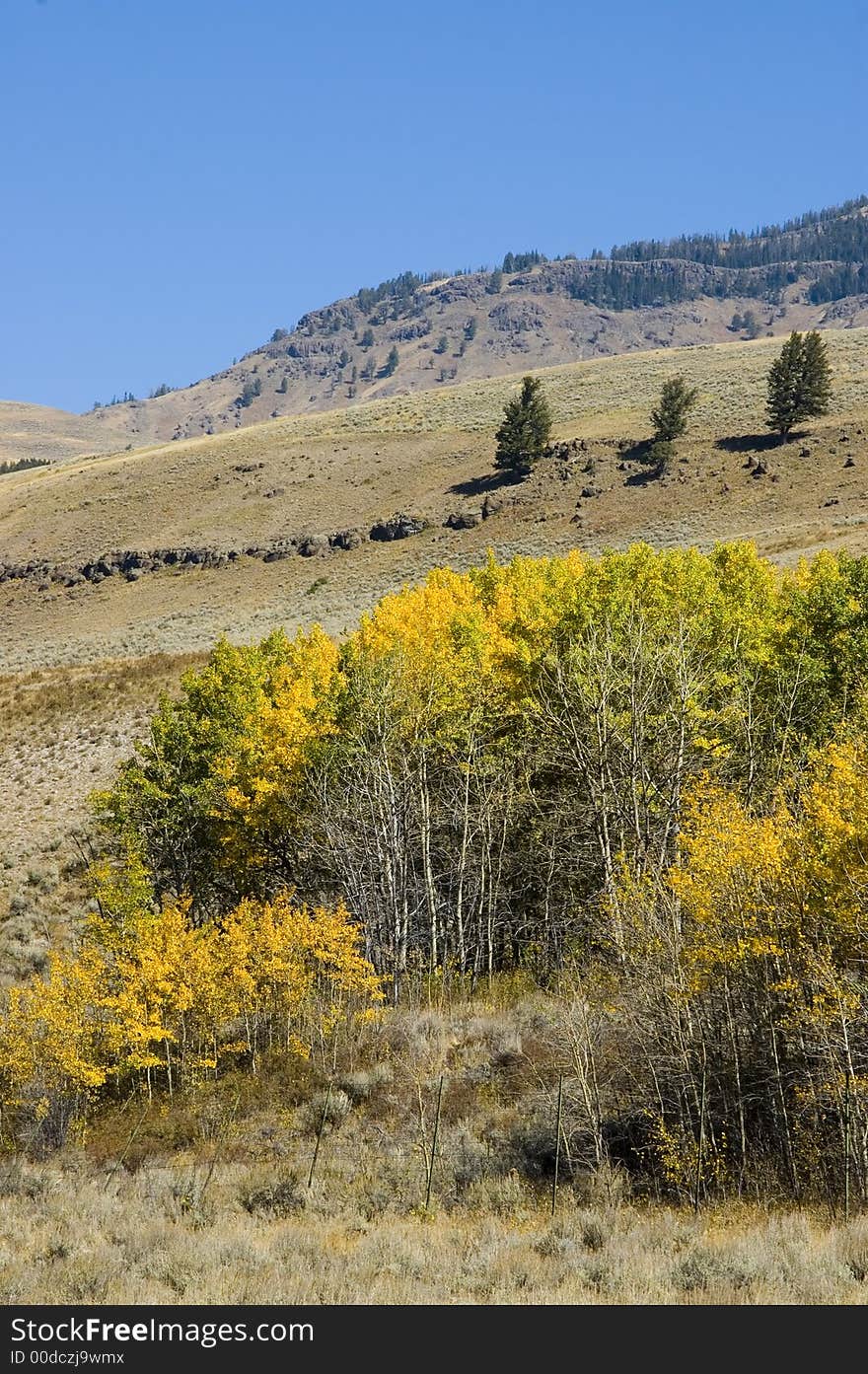 Blue sky in Yellowstone National Park's Lamar Valley. Blue sky in Yellowstone National Park's Lamar Valley.