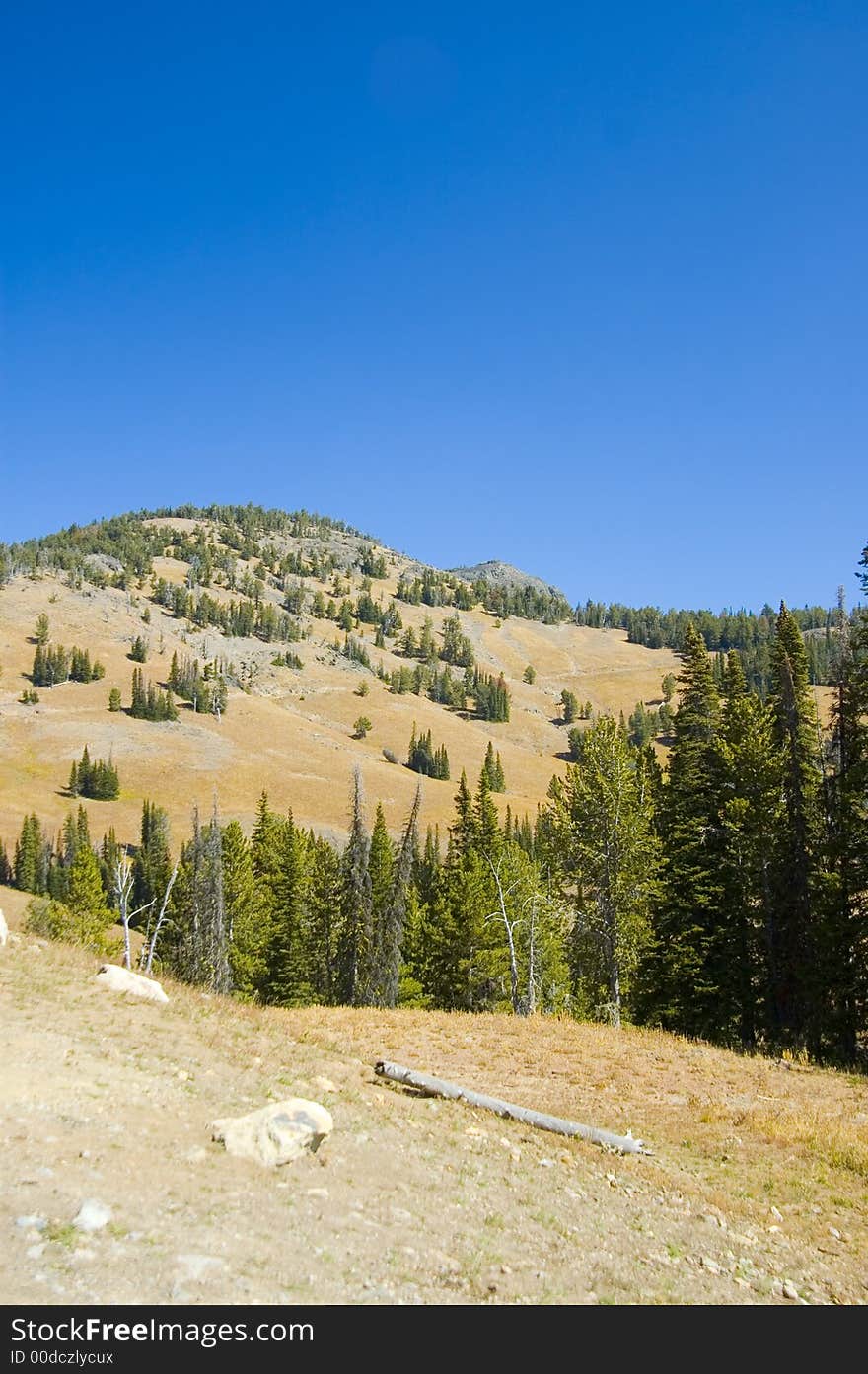 Blue Sky In Lamar Valley