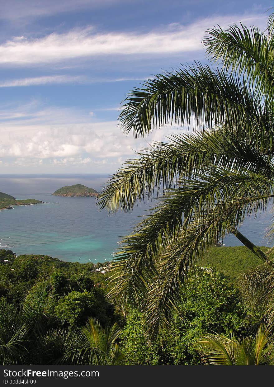 Tropical panorama view with palm