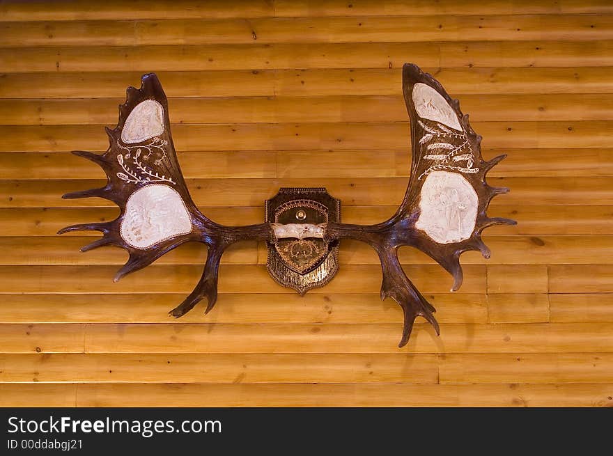 Horns of an elk on a wall. Horns of an elk on a wall