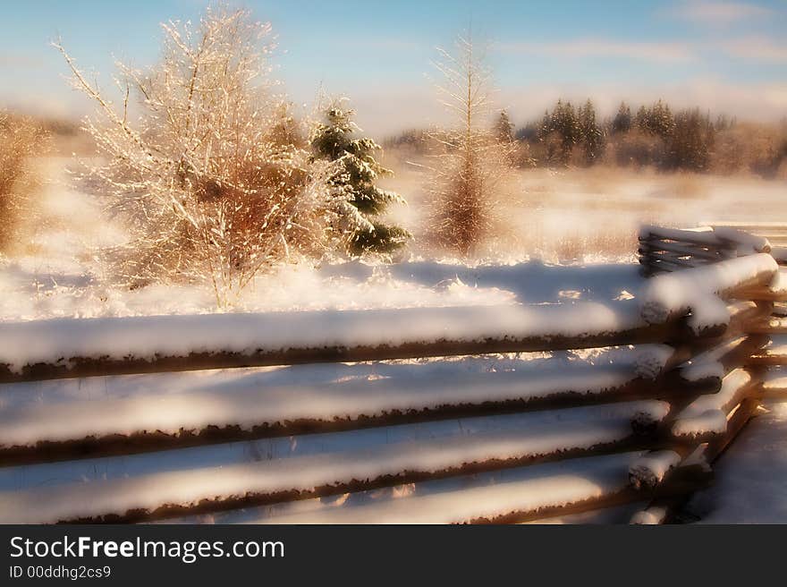 Fencing In Winter (satin)