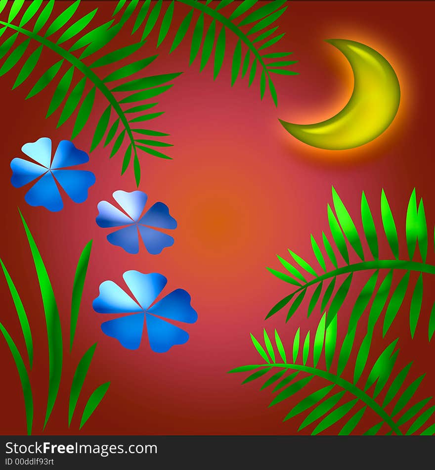 Moon shining at sunset in a tropic garden. Moon shining at sunset in a tropic garden